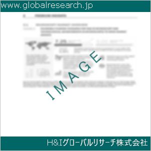グローバルリサーチ調査資料のイメージ